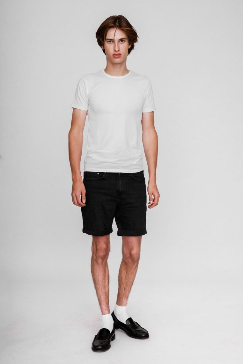 modelbook image no. 249877
