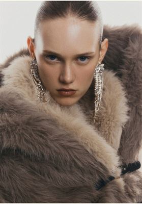 modelbook image no. 247426