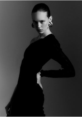 modelbook image no. 247444