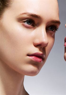 modelbook image no. 247462