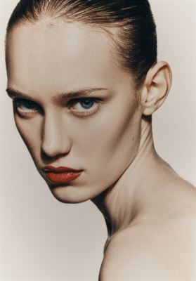 modelbook image no. 247461