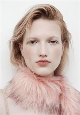 modelbook image no. 258003