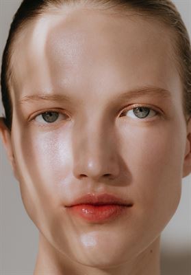 modelbook image no. 248220