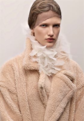 modelbook image no. 248186