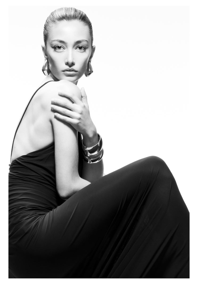 modelbook image no. 247781