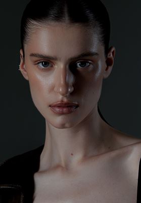 modelbook image no. 250339