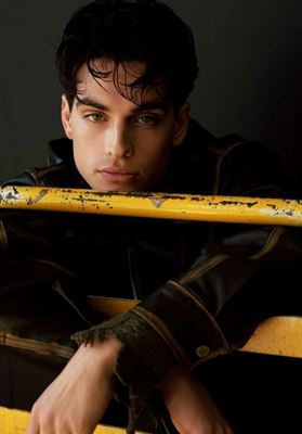 modelbook image no. 251744