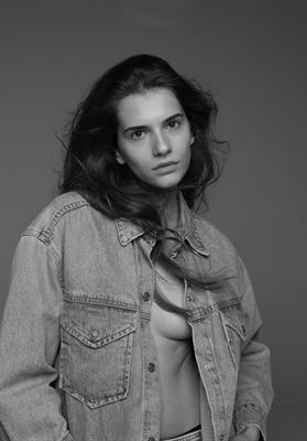 modelbook image no. 253138