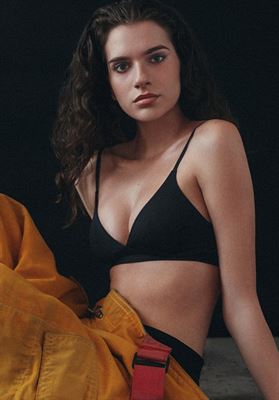 modelbook image no. 264792