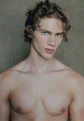 modelbook image no. 253628