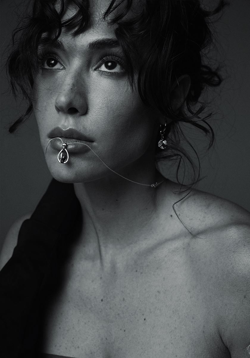 modelbook image no. 253757