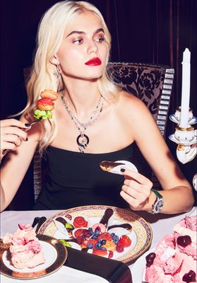 modelbook image no. 254213