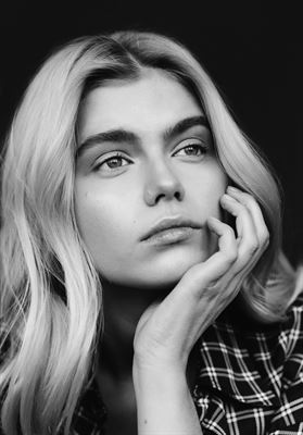 modelbook image no. 254214