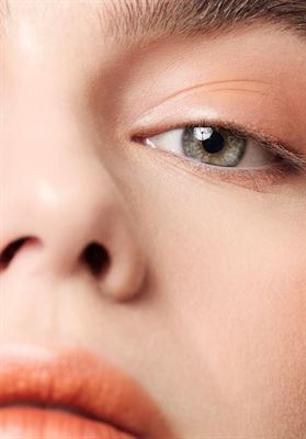 modelbook image no. 254199