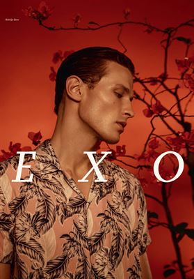 modelbook image no. 254411