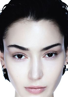 modelbook image no. 254552