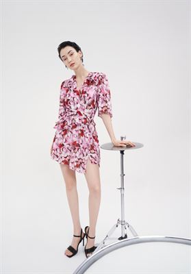 modelbook image no. 254539