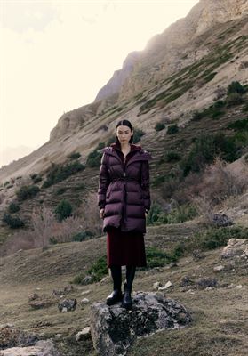 modelbook image no. 254527