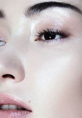 modelbook image no. 254555