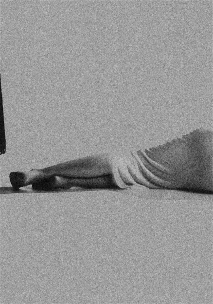 modelbook image no. 254906