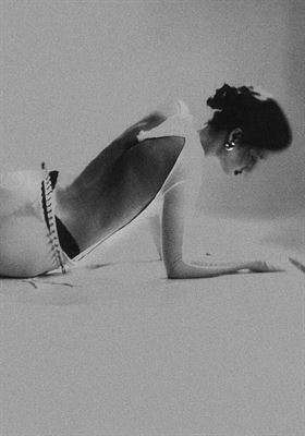 modelbook image no. 254905