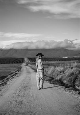 modelbook image no. 256766