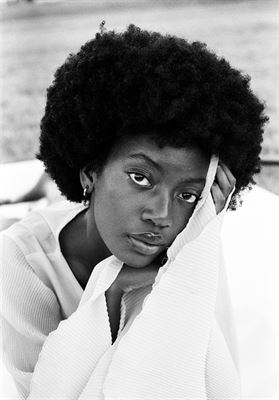 modelbook image no. 256588