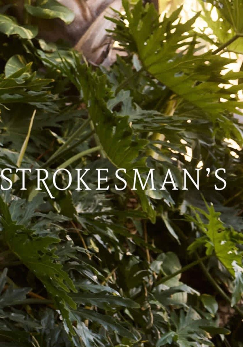 modelbook image no. 263125