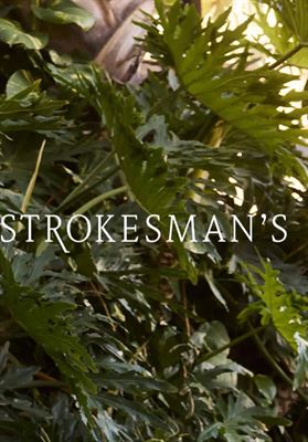 modelbook image no. 263125