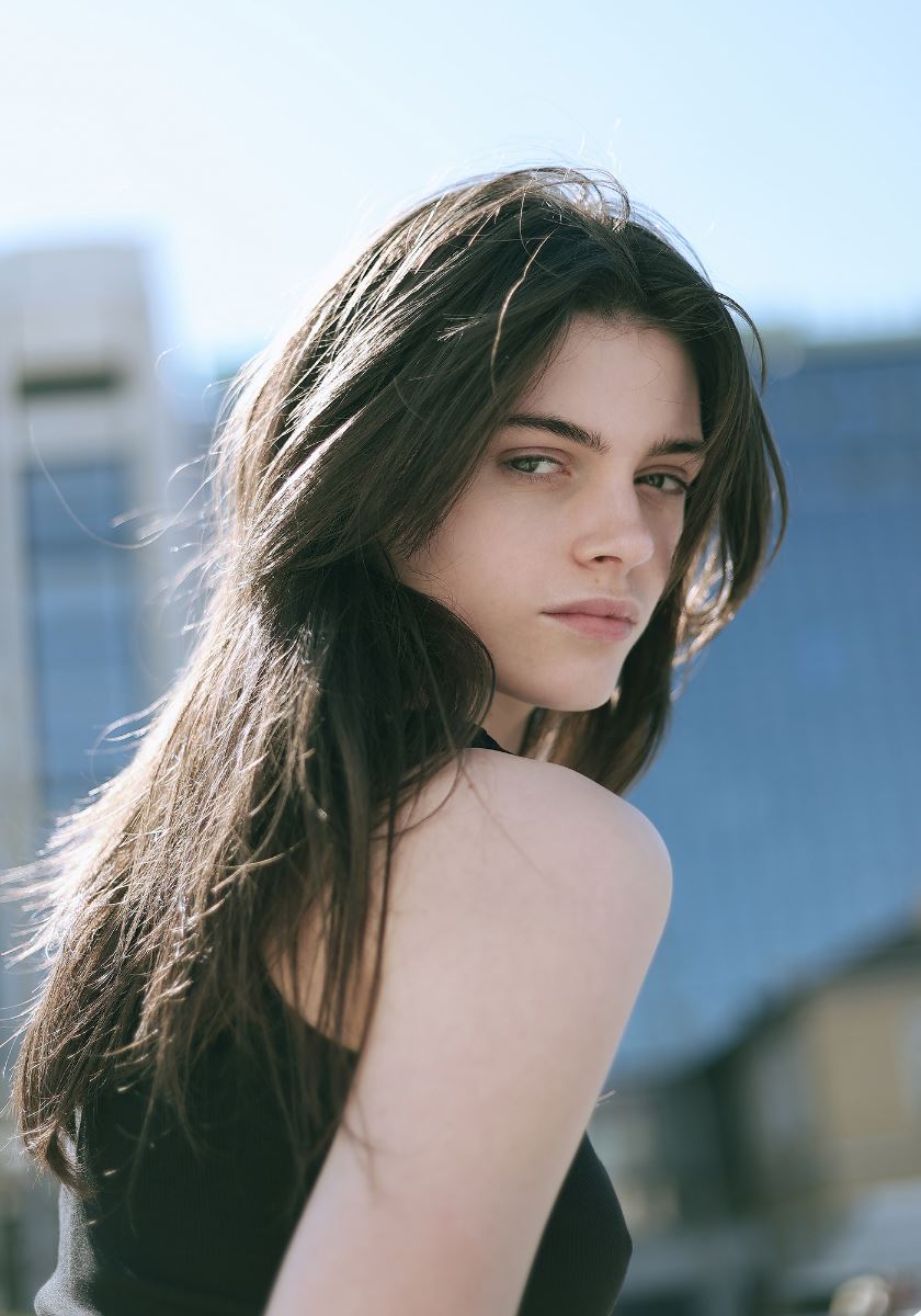 modelbook image no. 255533