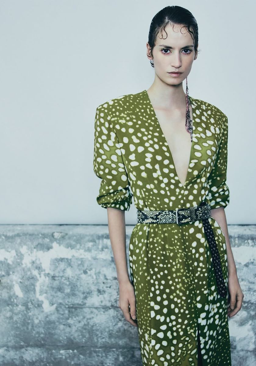 modelbook image no. 255805