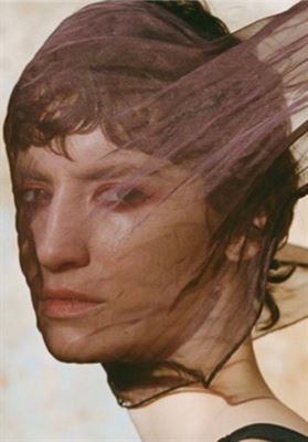 modelbook image no. 255816