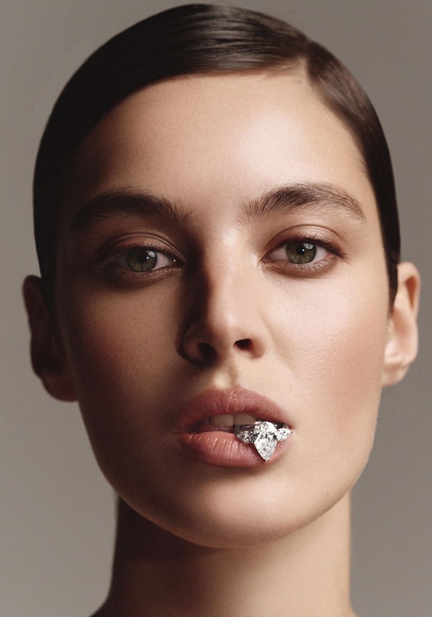 modelbook image no. 255765