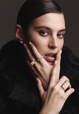 modelbook image no. 255762