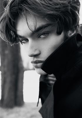 modelbook image no. 264247