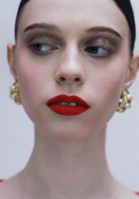 modelbook image no. 262445