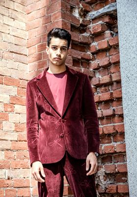 modelbook image no. 259244