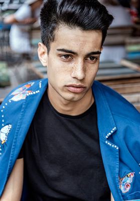 modelbook image no. 259248