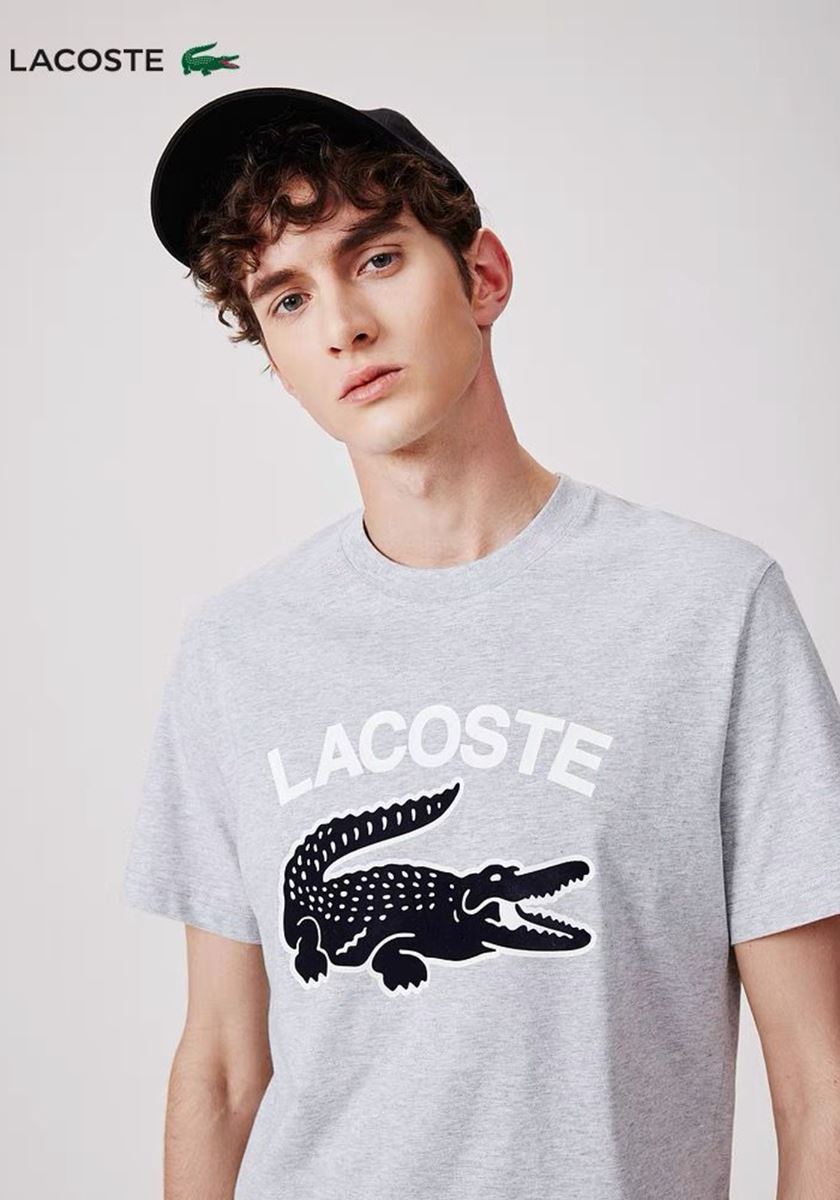 modelbook image no. 260120