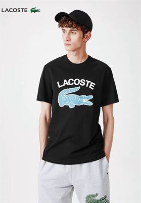 modelbook image no. 260123