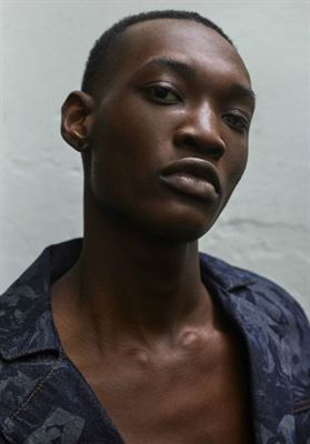 modelbook image no. 269487