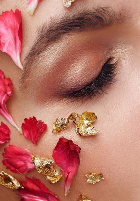 modelbook image no. 260548