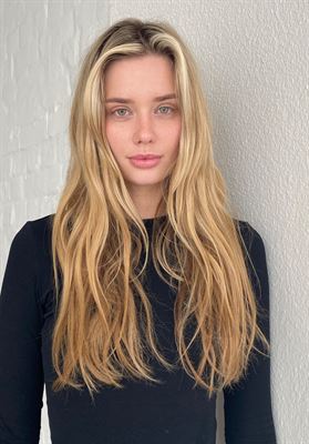 polaroid image no. 261197