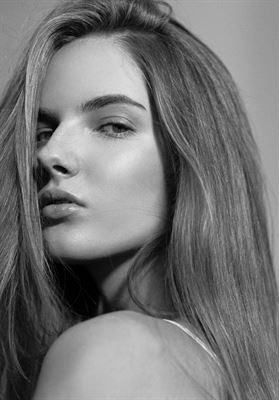 modelbook image no. 263104