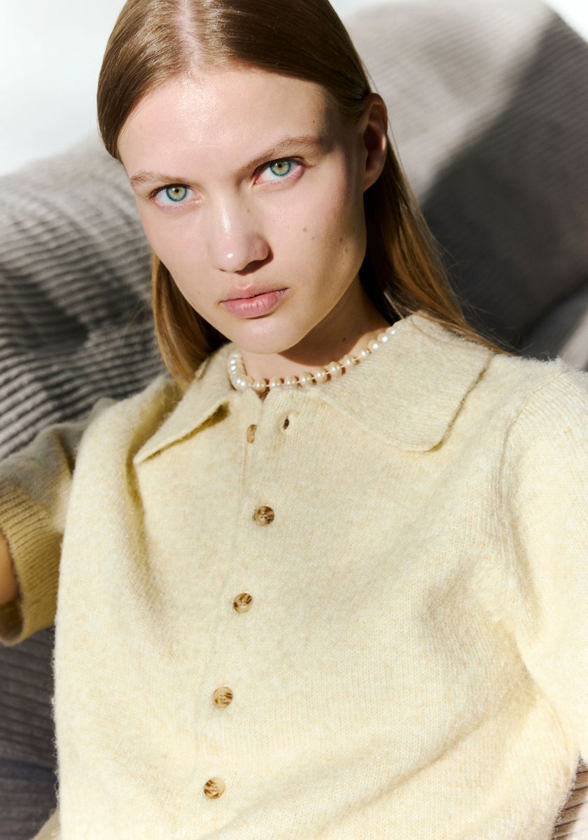 modelbook image no. 263233