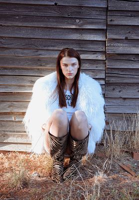 modelbook image no. 264965