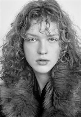 modelbook image no. 264677