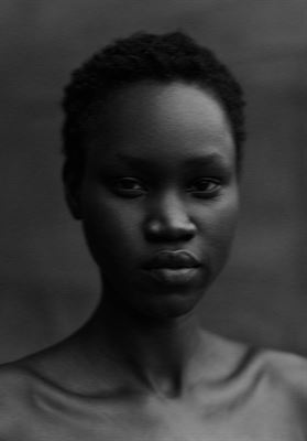 modelbook image no. 263523