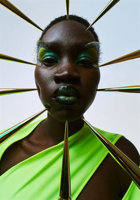 modelbook image no. 263515