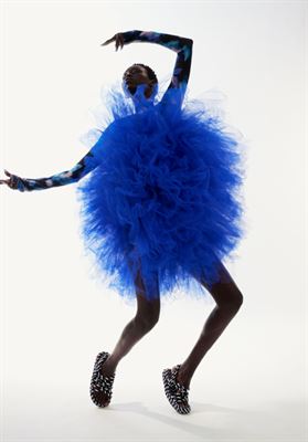 modelbook image no. 263527